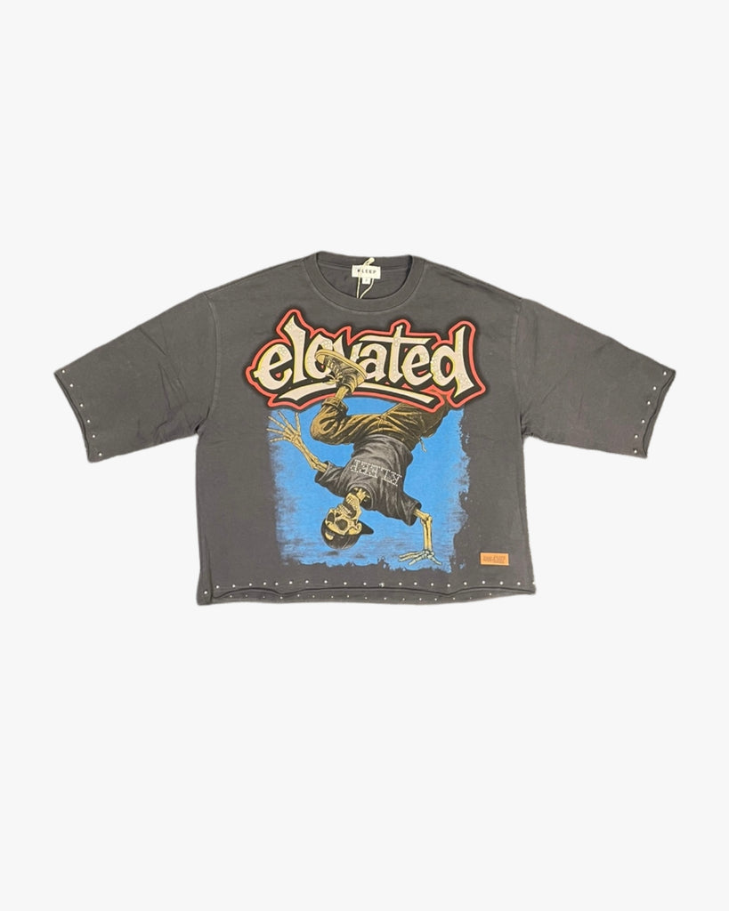 Elevated Skull Cropped Tee
