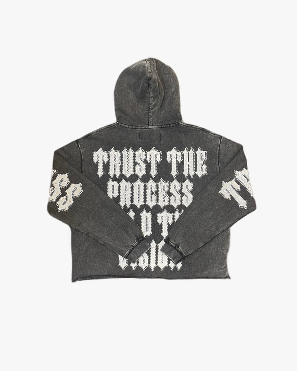 Trust the Process Cropped Hoodie