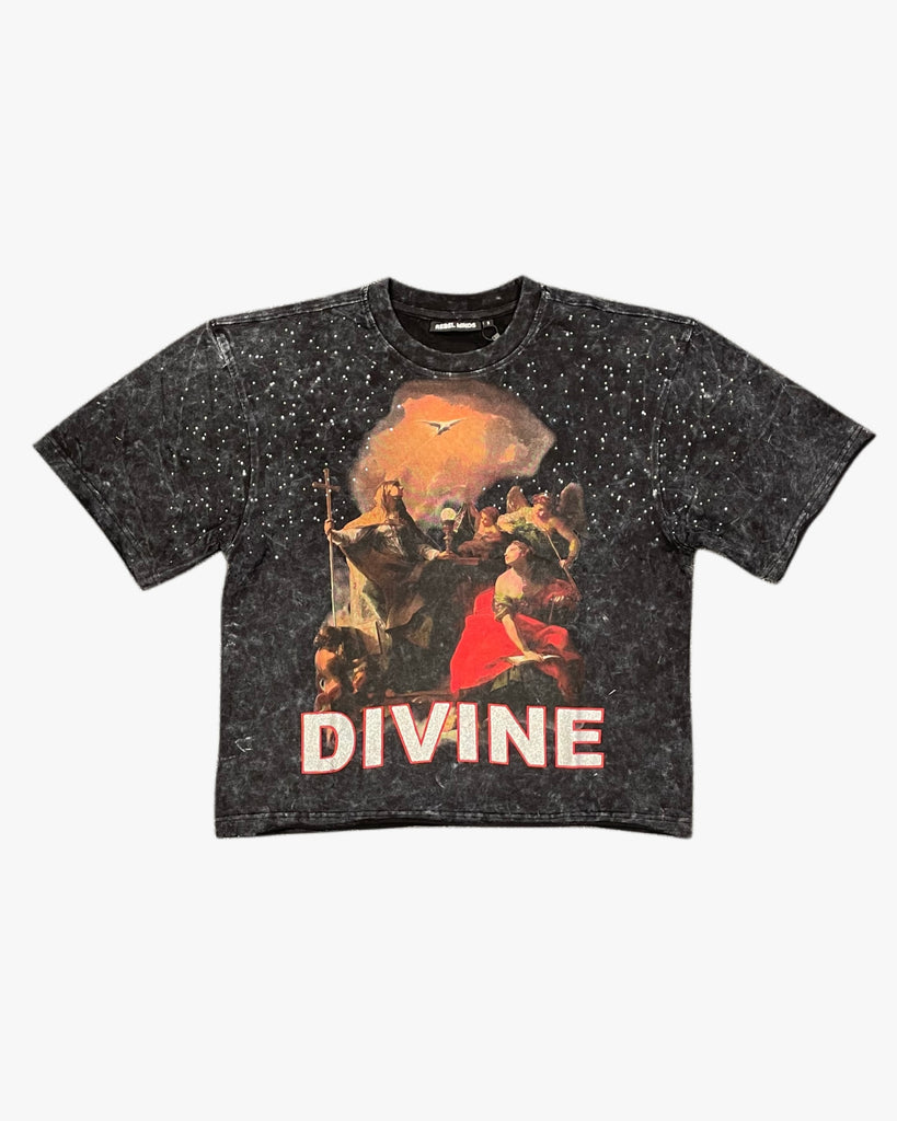 Divine Rhinestone Cropped Tee